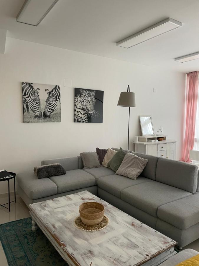 Stadtsuite Mit Sauna In Wiener Neustadt 135 M2 Екстер'єр фото